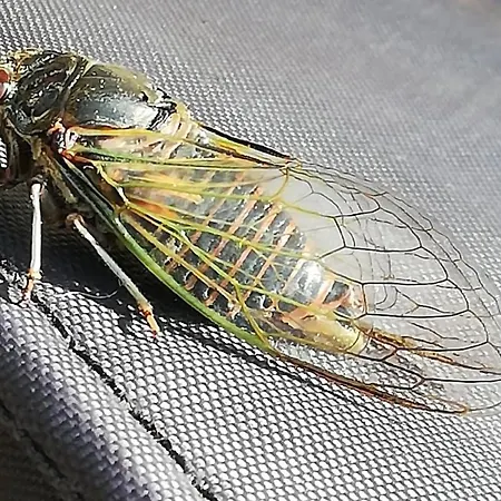 Lejlighed Comme Un Avant-gout Du Nirvana *