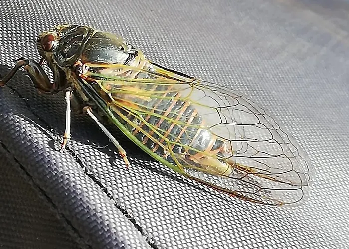 Daire Comme Un Avant-gout Du Nirvana *